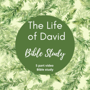 The Life of David Free Bible Study
